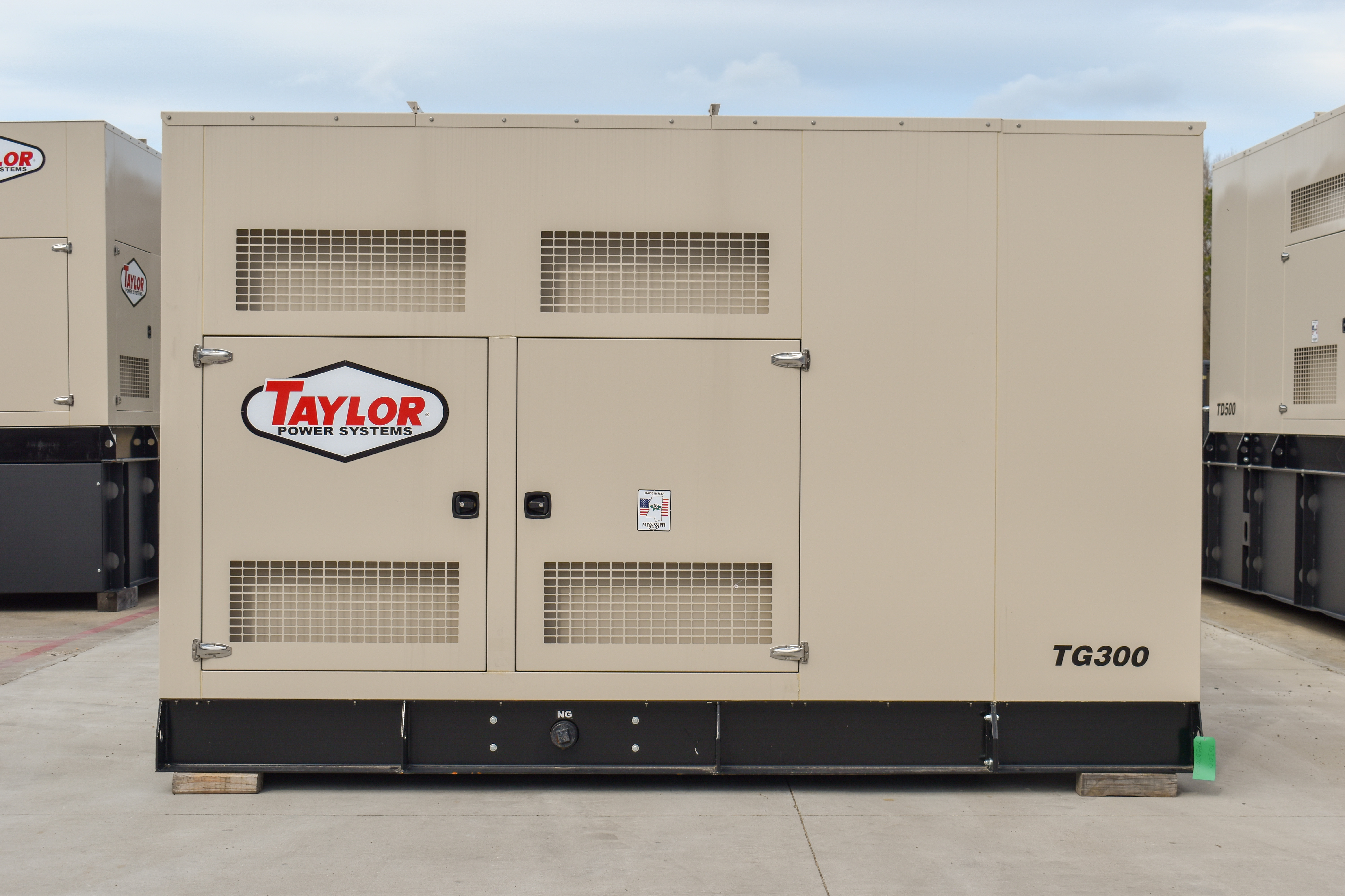 Taylor Power Systems TG300