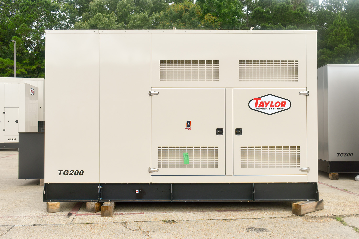 Taylor Power Systems TG200