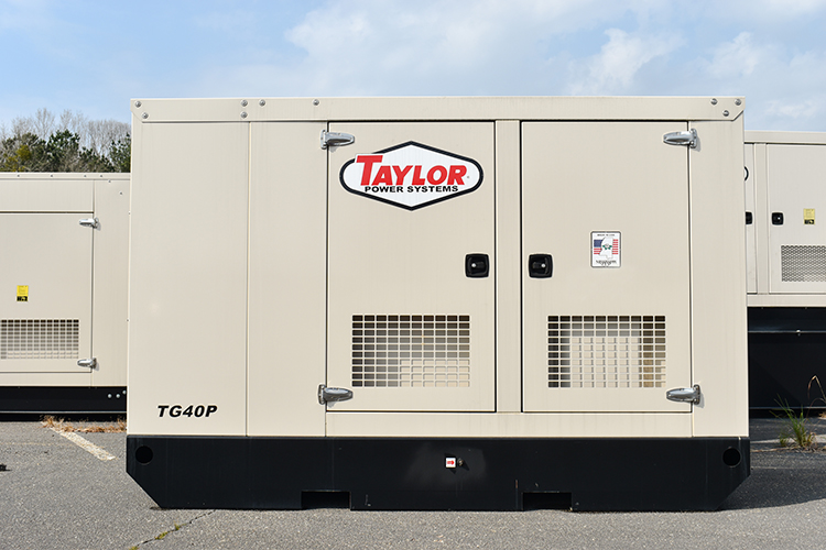 Taylor Power Systems TG40P